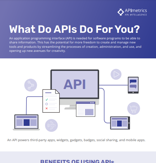Download the How API Works infographic (PDF)